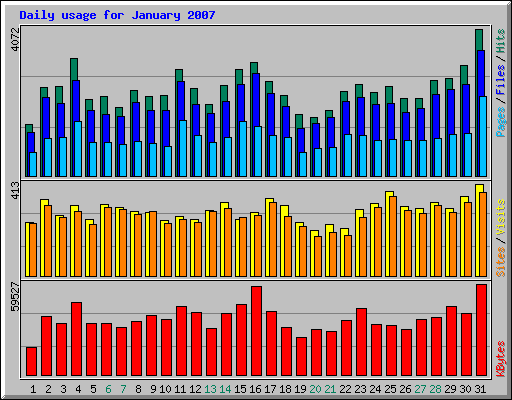 Daily usage for January 2007